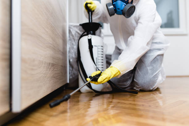 Best Affordable Pest Control Services  in Chesapeake Beach, MD