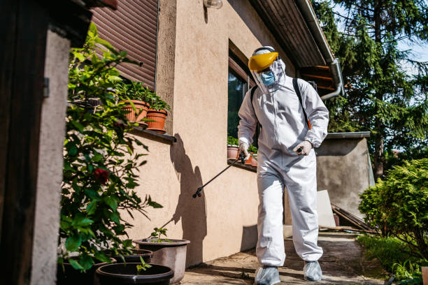 Best Mosquito Control Services  in Chesapeake Beach, MD