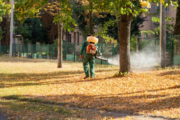 Best Rat Extermination Near Me  in Chesapeake Beach, MD