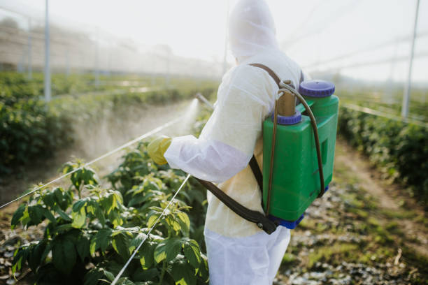 Pest Control Cost in Chesapeake Beach, MD